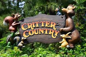 Conheça a Splash Mountain e outras atrações na Critter Country da Disneyland Califórnia 2 download 1
